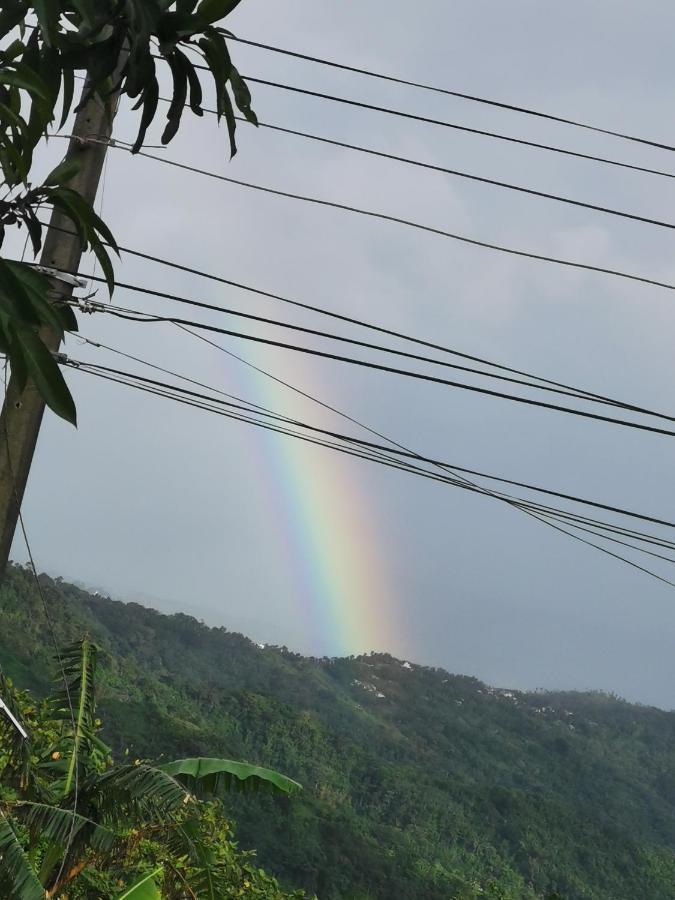 Country Bug Inn Tagaytay City Bagian luar foto